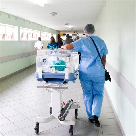 1. What Does a Hospital Transporter Do?