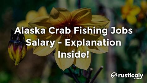 Alaskan Crab Fishing Salary