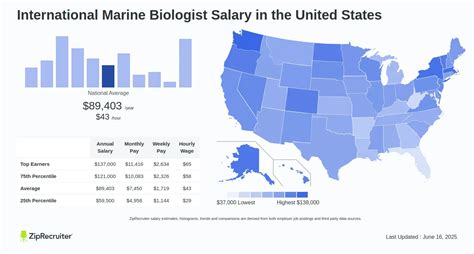 Decoding the Depths: A Guide to the Average Marine Biologist Salary