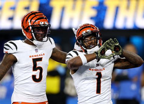 Bengals Salary Cap