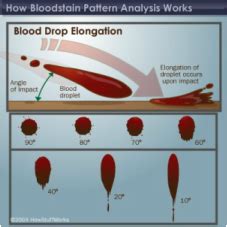 Decoding Your Earning Potential: A Guide to Bloodstain Pattern Analyst Salaries