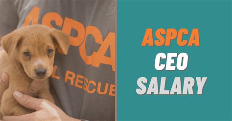 Understanding the ASPCA CEO Salary: A Deep Dive into Non-Profit Executive Compensation