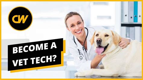 Certified Vet Tech Salary: A Comprehensive Guide for 2024