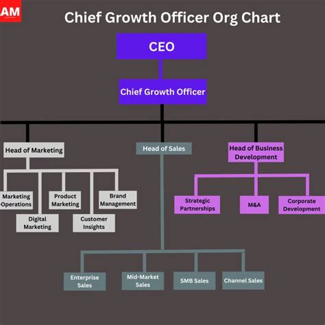 Unlocking Your Earning Potential: A Deep Dive into Chief Growth Officer Salaries