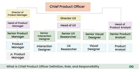 Unpacking the Chief Product Officer Salary: A 2024 Guide to Your Earning Potential