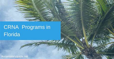 The Ultimate Guide to CRNA Salary in Florida: 2024 Earnings, Outlook, and Path to Practice