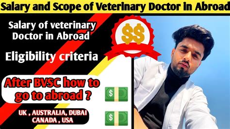 Doctor of Veterinary Medicine Salary: A 2024 Guide to Your Earning Potential