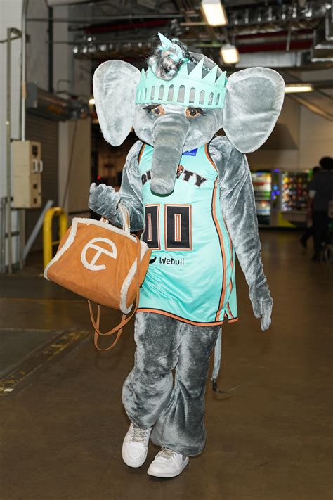 The Ultimate Guide to a Professional Mascot Career: Unpacking the "Ellie the Elephant" Salary, Outlook, and Path to Success
