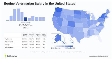 Unbridled Earnings: A Deep Dive into Equestrian Veterinarian Salaries in 2024
