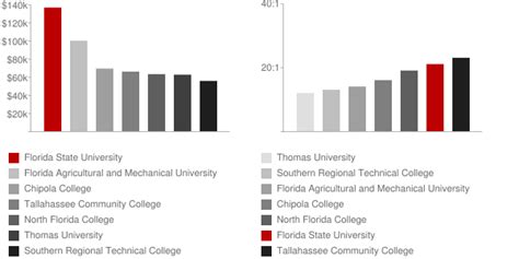 Unlocking Your Earning Potential: A Guide to Florida State University Graduate Salaries