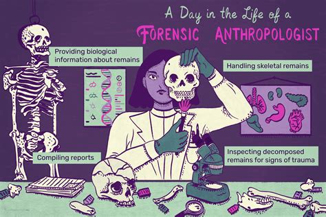 Uncovering the Earnings: A Deep Dive into Forensic Anthropologist Salaries