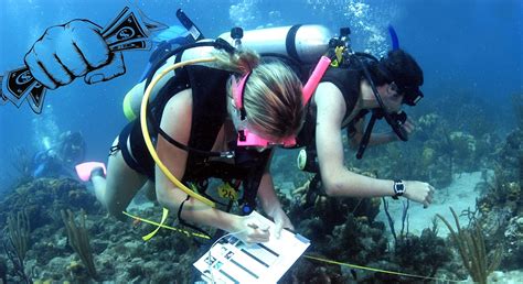 Marine Biologist Salary in Florida: A Deep Dive into Your Earning Potential