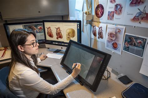 The Ultimate Guide to a Medical Artist Salary: Unlocking Your Earning Potential in Medical Illustration