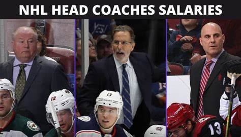 Decoding the Puck: An Ultimate Guide to NHL Coach Salary, Career Path, and Getting Hired