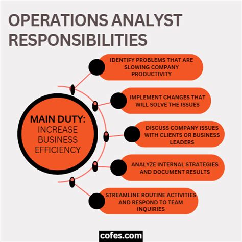 How Much Do Operations Analysts I Make? A 2024 Salary Guide
