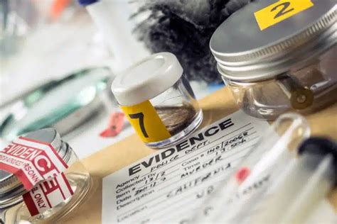 Decoding the Earnings: What is the Real Salary for a Blood Spatter Analyst?
