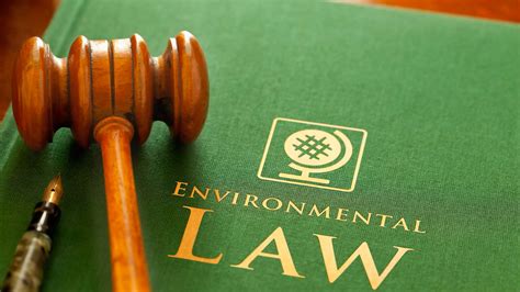 Decoding the Green: What Is the Real Salary for an Environmental Lawyer?