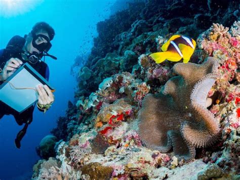 Unlocking Your Earning Potential: A Deep Dive into Oceanographer Salaries