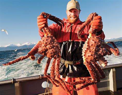 The High-Stakes Catch: An Ultimate Guide to an Alaskan Crab Fisherman's Salary in 2024