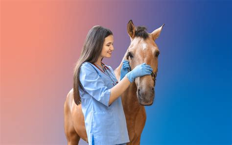 The Ultimate Guide to the Salary of an Equine Vet: Earnings, Outlook, and Your Career Path in 2024