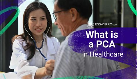 The Ultimate Guide to a Personal Care Aide (PCA) Career: What is a PCA Salary, Outlook, and How to Get Started