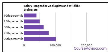 Unpacking the Wildlife Biologist Salary: A 2024 Guide to Earnings & Career Growth