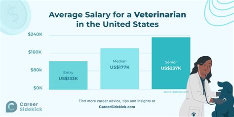 How Much Do Wildlife Veterinarians Make? A Deep Dive into Salary and Career Outlook