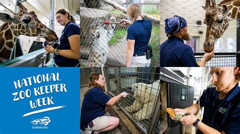 What is a Zookeeper's Starting Salary? A 2024 Career Guide