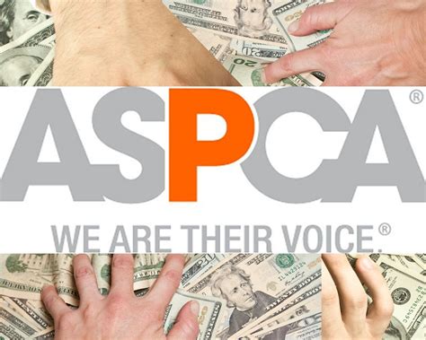 ASPCA Executive Compensation: A Look at the Numbers