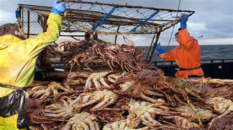 Average Alaskan Crab Fisherman Salary: A Deep Dive