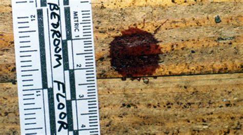 Average Bloodstain Pattern Analyst Salary