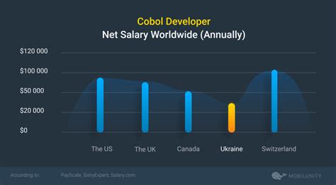 Average COBOL Developer Salary: A Deep Dive