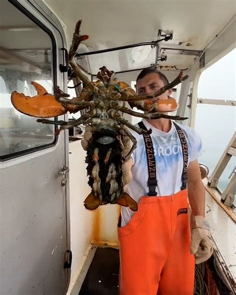 Average Crab Fisherman Salary: A Deep Dive