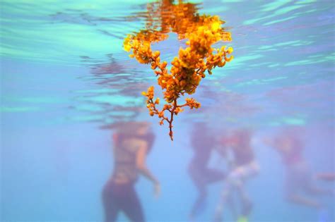 Average HR Salary: A Deep Dive