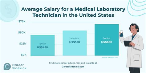 Average Medical Technologist Salary: A Deep Dive