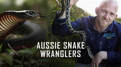 Average Snake Wrangler Salary: A Deep Dive