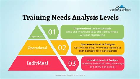 Average Training Needs Analyst Salary: A Deep Dive
