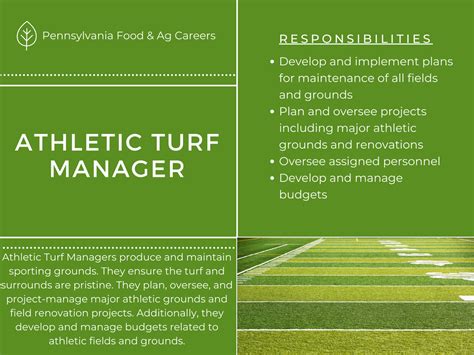 Average Turf Management Salary: A Deep Dive