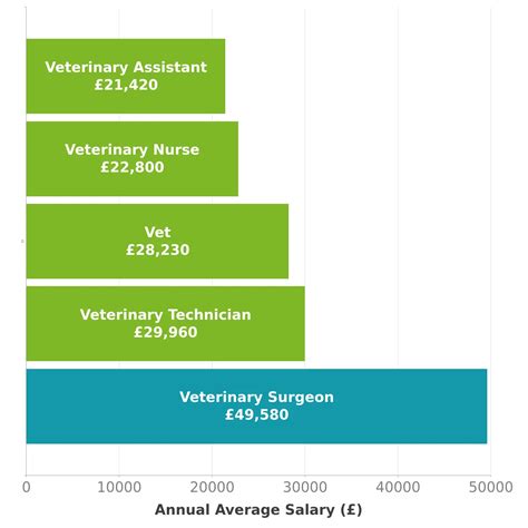Average Veterinary Surgeon Salary