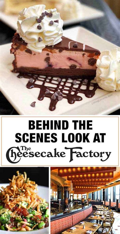 Behind the Scenes at The Cheesecake Factory: Key Roles & Responsibilities