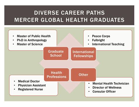 Beyond the Arch: The Diverse Career Paths of a WashU Graduate