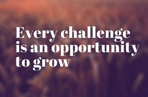 Conclusion: Turn "DOE" Into Your Opportunity