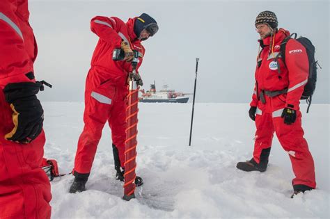 Dream of the Arctic: Unpacking the Polar Bear Guard Salary