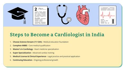 How to Become a Cardiologist: The 14+ Year Journey