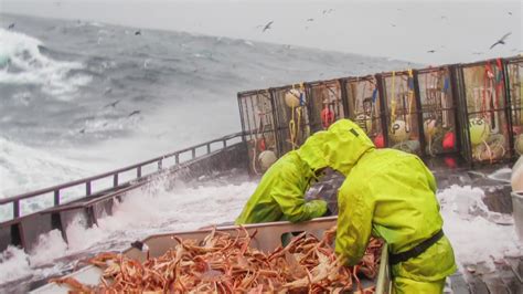 How to Get Started in a Crab Fishing Career