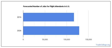 Job Outlook and Career Growth for Flight Attendants