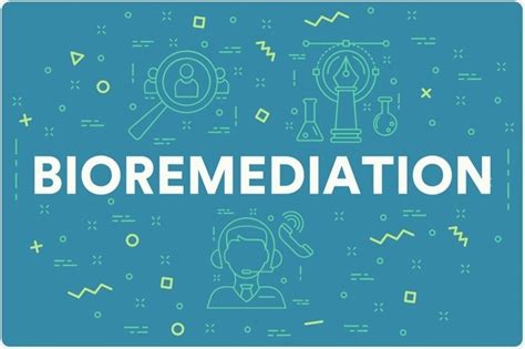 Job Outlook and Career Growth in Bio-Remediation