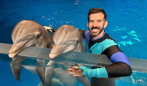 Key Factors That Influence a Dolphin Trainer Salary