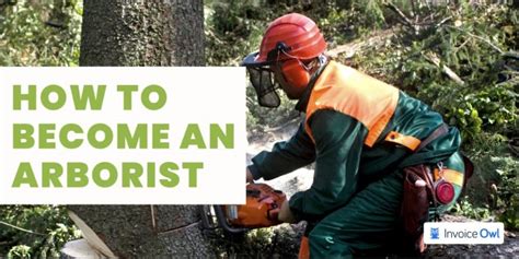 Key Factors That Influence an Arborist's Salary