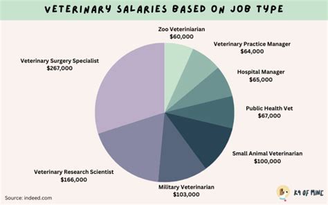 Key Factors That Influence an Equestrian Vet's Salary